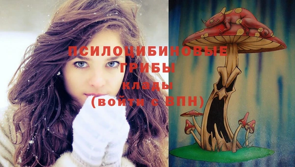 кокс Баксан